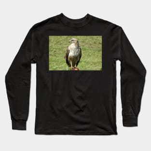 Light Phase Buzzard Long Sleeve T-Shirt